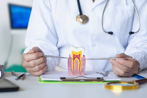 Best Urgent Dental Care for Toothache in Harvey, ND